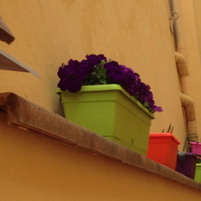 Cosy House Bed & Breakfast Firenze Eksteriør bilde